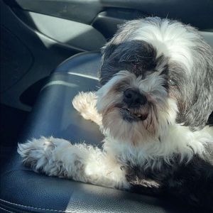 Meet your Posher, Jordan